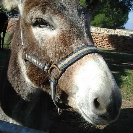 Apartamento Sundrenched Relais De Poste In *