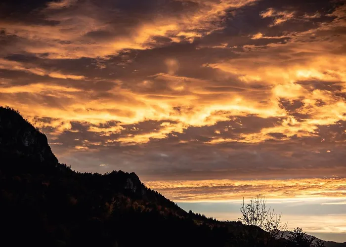 Sundrenched Relais De Poste In Apartament