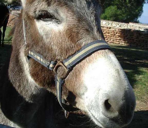 Apartament Sundrenched Relais De Poste In *